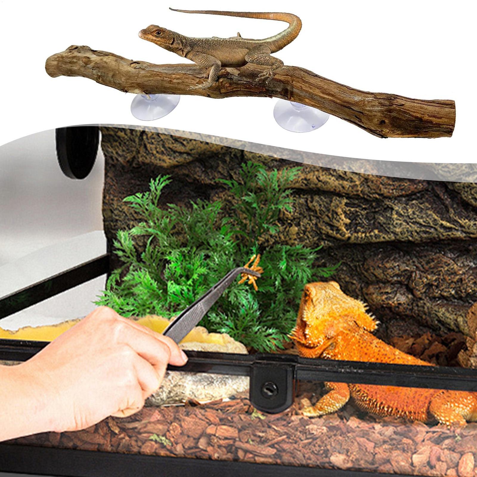 Bâton d'escalade en bois pour  - Home Decor Habitat avis et prix