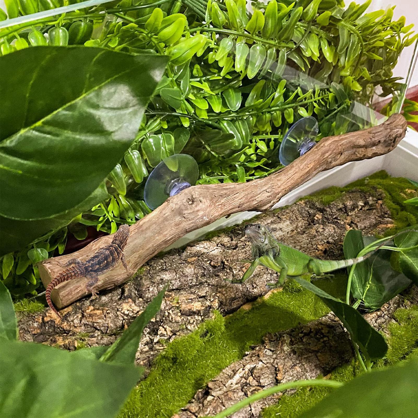Bâton d'escalade en bois pour  - Home Decor Habitat avis et prix