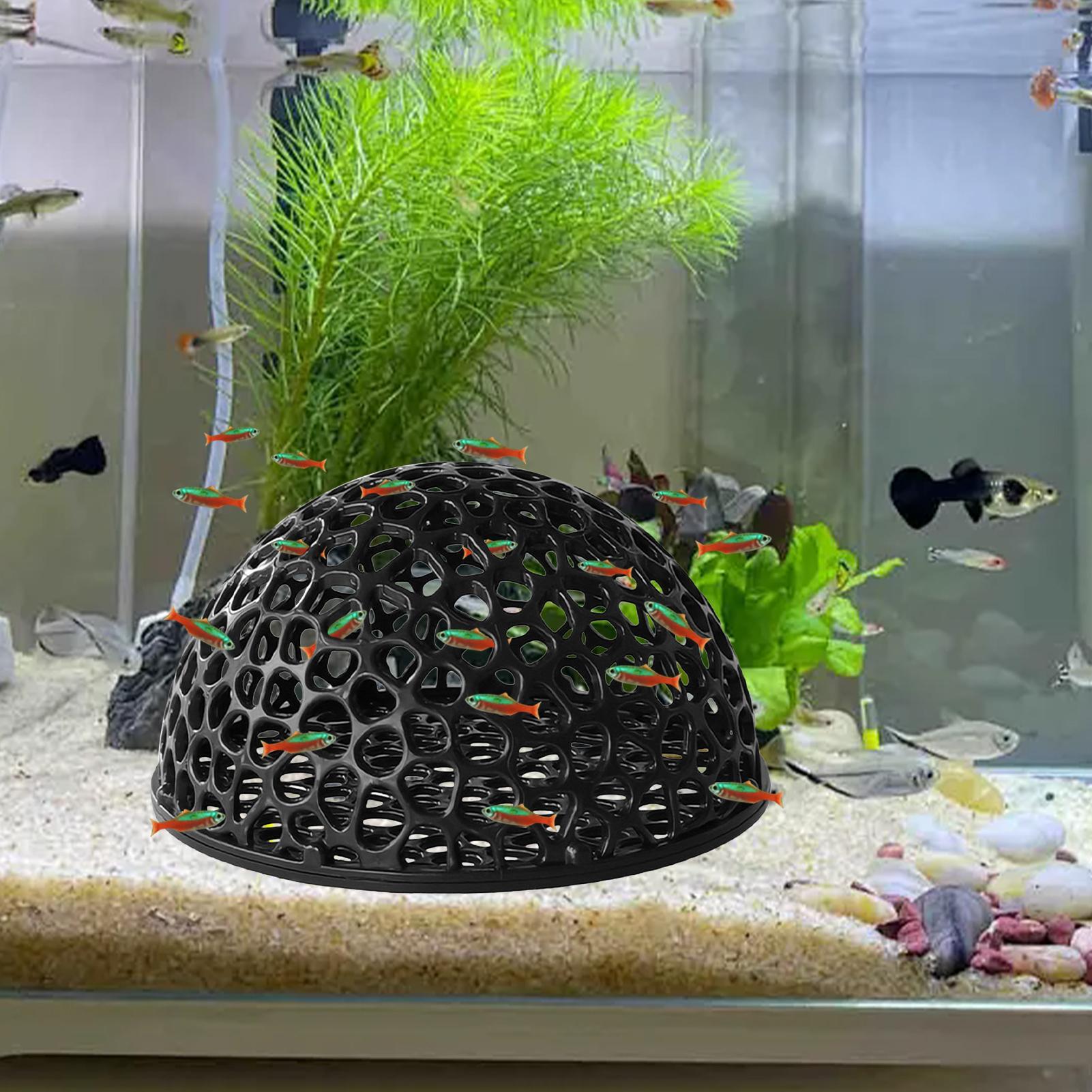 Caverne d'élevage de crevettes - Home Decor Habitat avis et prix