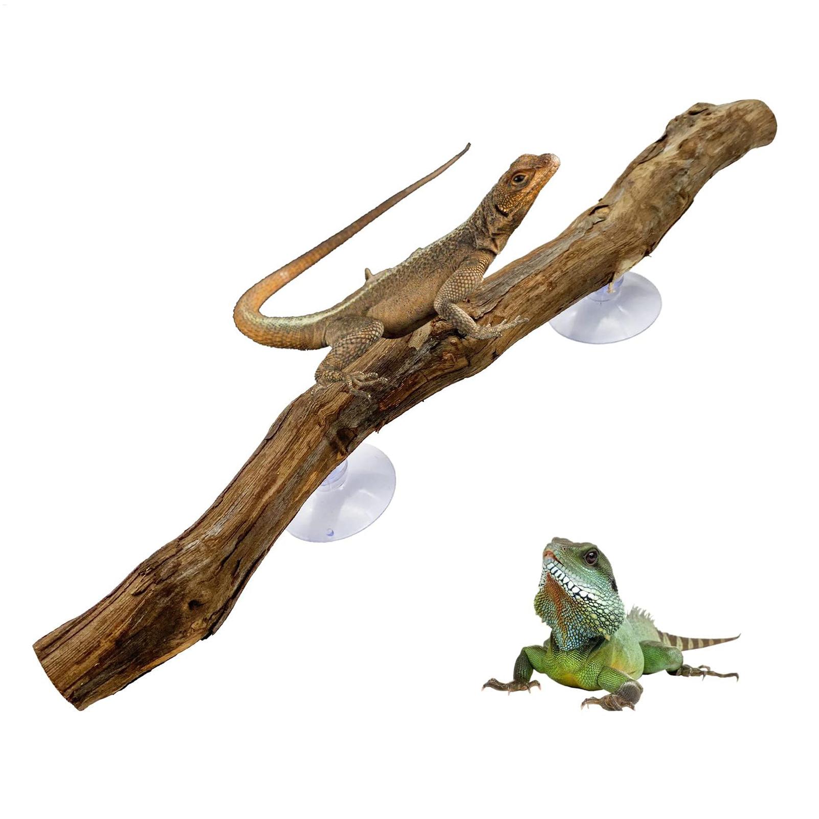 Bâton d'escalade pour reptiles - Home Decor Habitat avis et prix