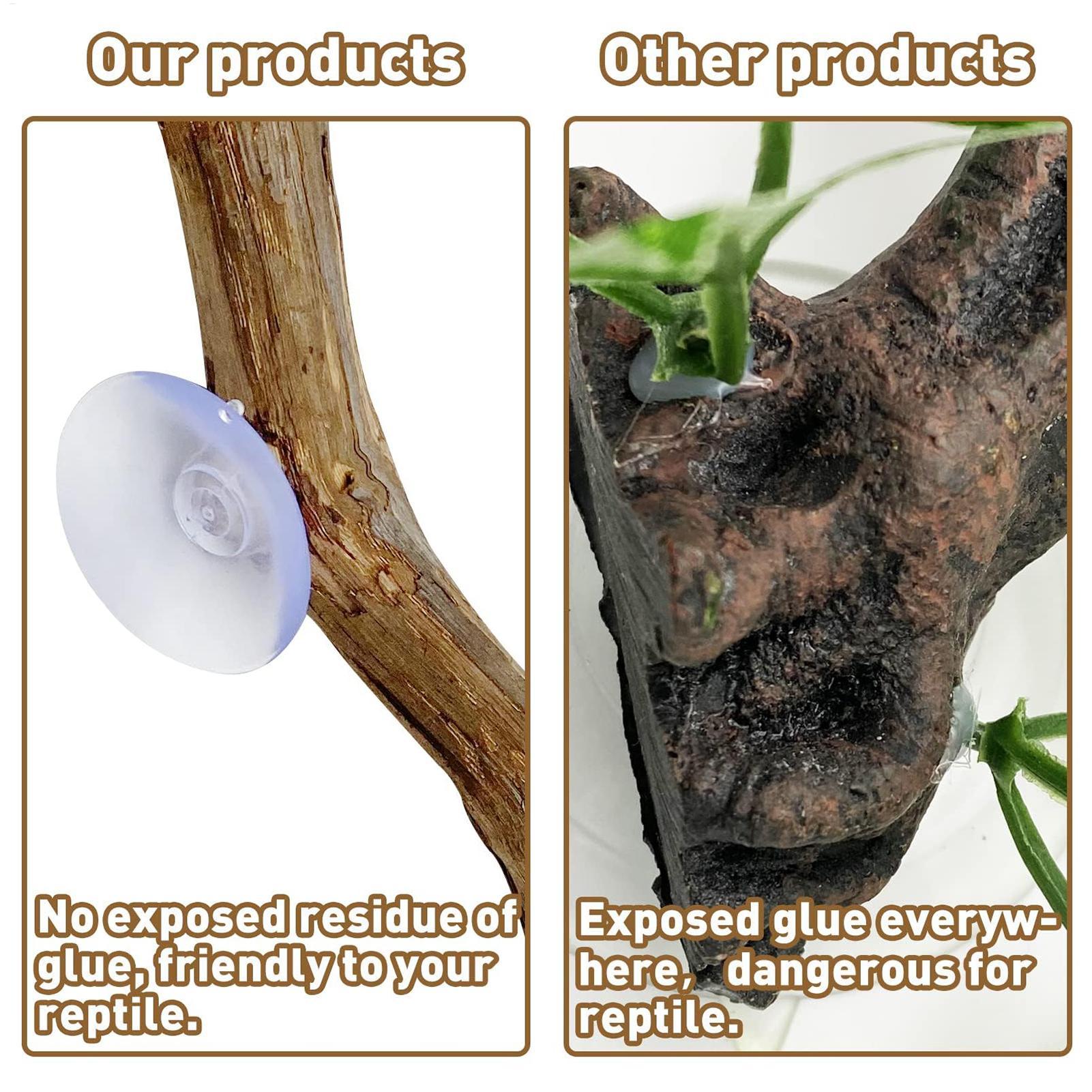 Bâton d'escalade pour reptiles - Home Decor Habitat avis et prix