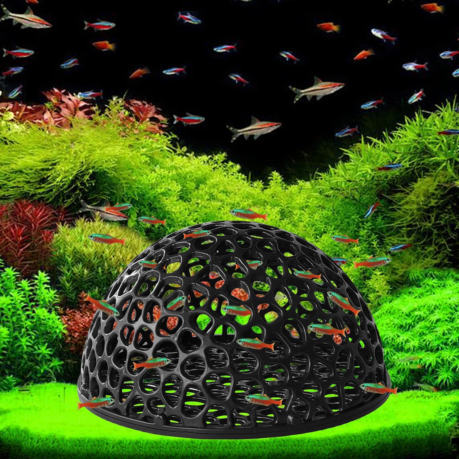 Caverne d'élevage de crevettes - Home Decor Habitat avis et prix
