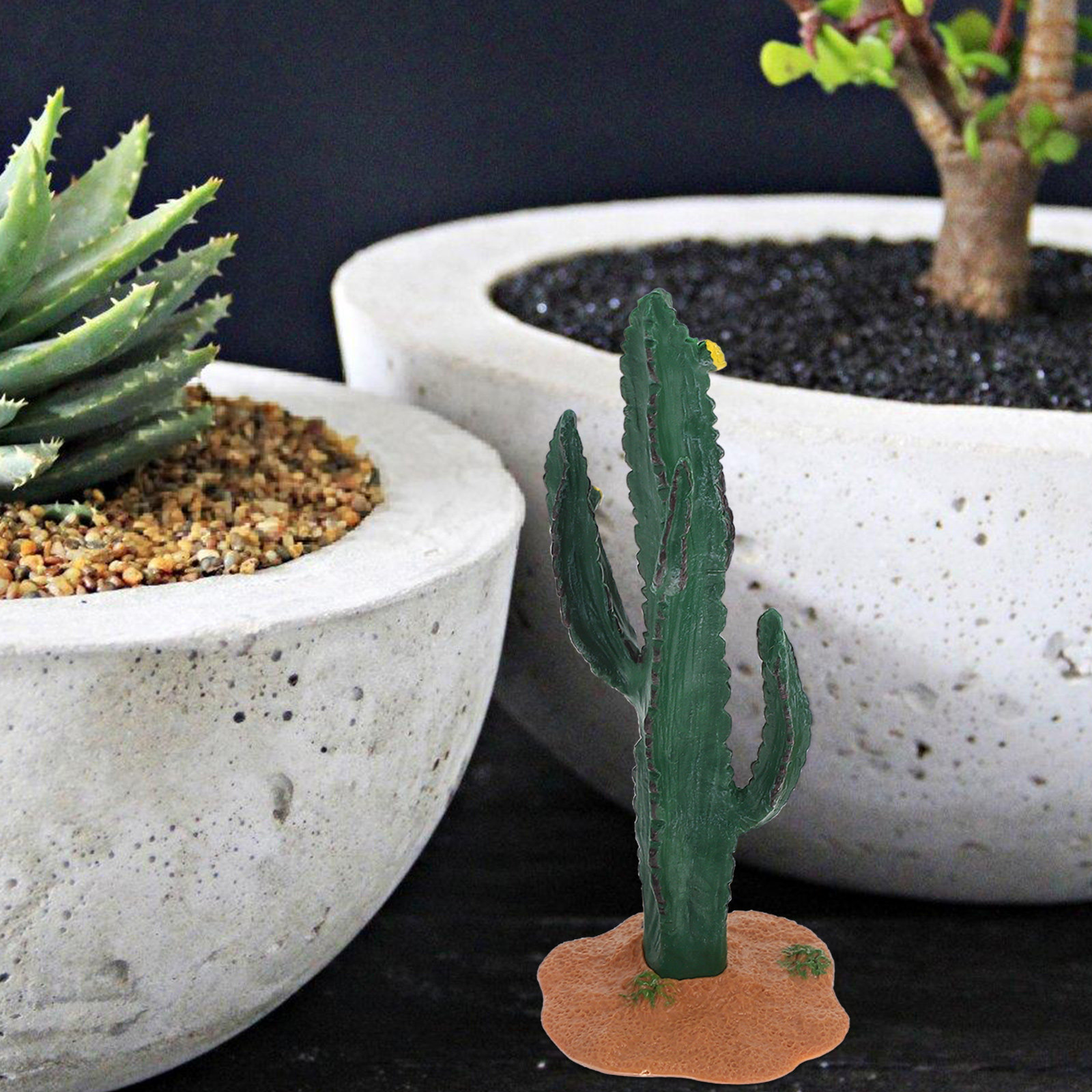 2 pièces de petits cactus arti - Home Decor Habitat avis et prix